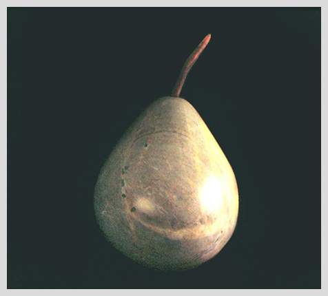 Enlarged photo of Anjou Pear